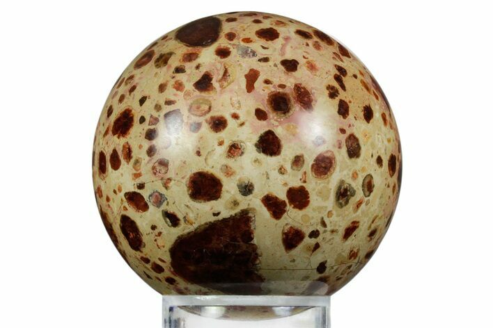 Polished Bauxite (Aluminum Ore) Sphere - Russia #354224
